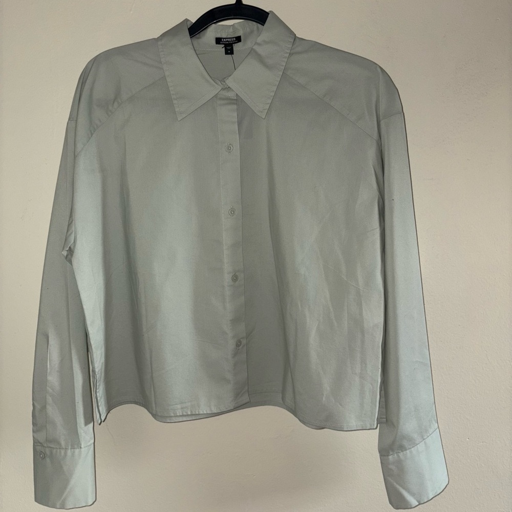 Express Mint Boyfriend Portofino Cropped Button Down